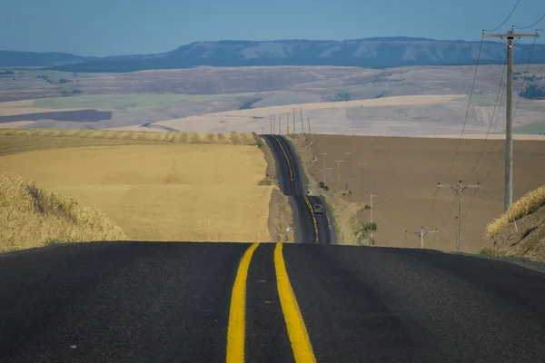 Road, wheat fields, Washington State — Stock Photo, Image