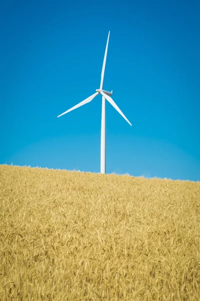 Windturbines, tarwe velden, washington state — Stockfoto