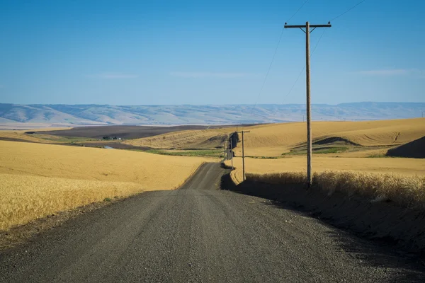 Estrada, campos de trigo, estado de Washington — Fotografia de Stock