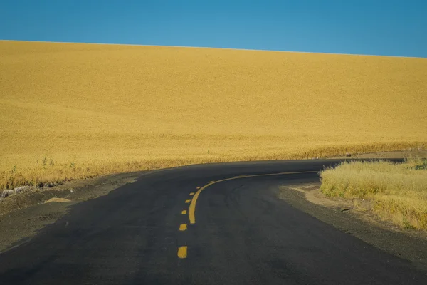 Road, búza mezők, Washington államban — Stock Fotó