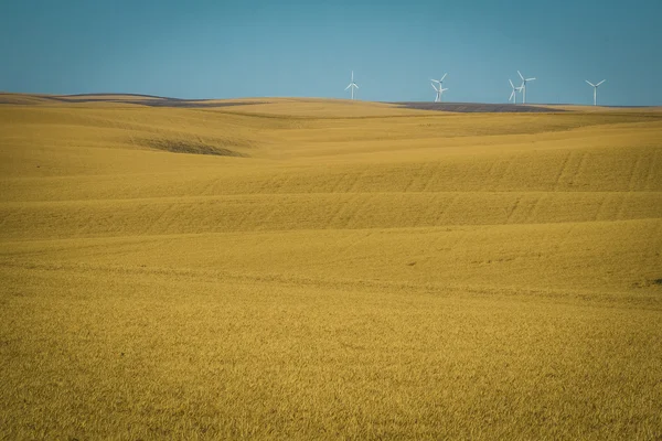 Turbine eoliche, campi di grano, stato di Washington — Foto Stock
