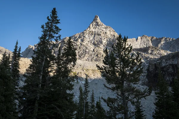 Rotsachtige berg — Stockfoto