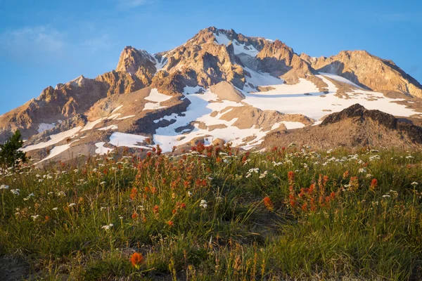 Під час заходу сонця сяють, Mt. капот, Орегон — стокове фото