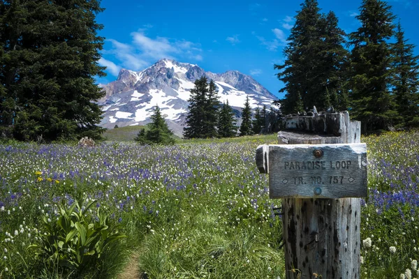 Wooden trail sign, Mt. hood, Oregon — Stock Photo, Image