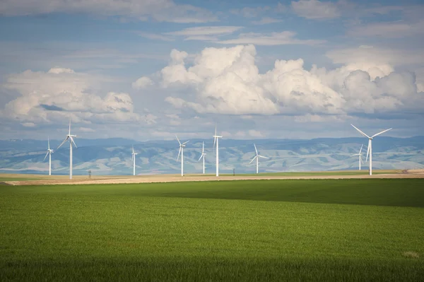 Tarwe velden en windturbines — Stockfoto