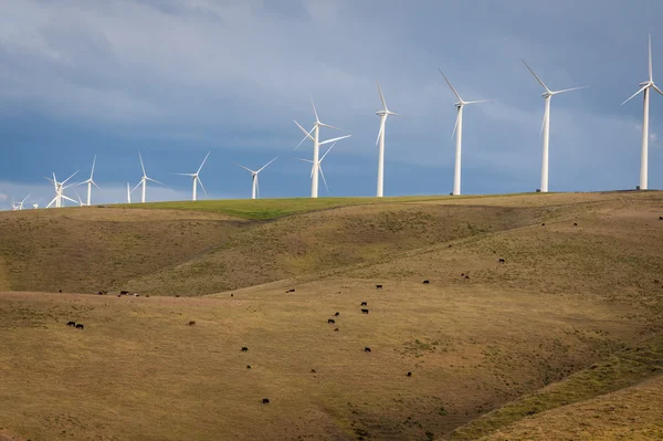 Turbine eoliche su una collina — Foto Stock