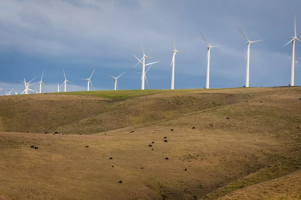 Windräder auf einem Hügel — Stockfoto