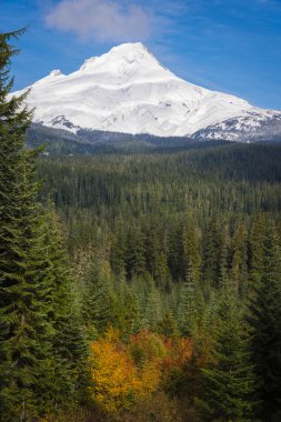 mt. hood, Sonbahar, oregon