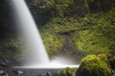 at kuyruğu, columbia gorge, oregon düşüyor