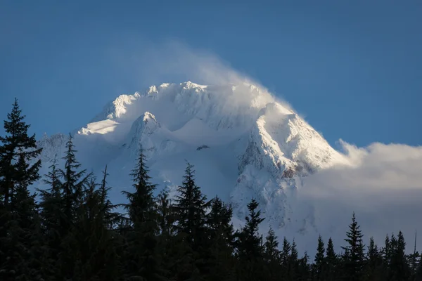 Neve sul Monte. cappuccio, Oregon — Foto Stock