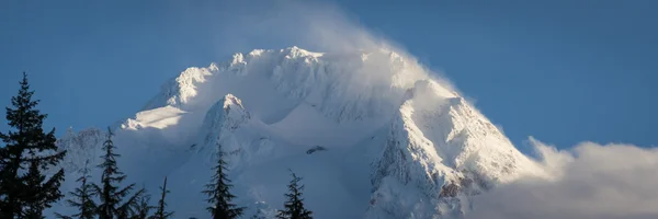 Sneeuw op Mount hood, oregon — Stockfoto