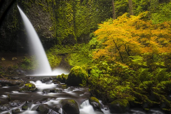 Ponytail falls, autumn, Columbia Gorge, Oregon — Stock Photo, Image