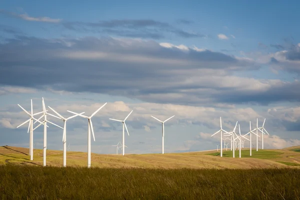 Windturbines op een heuvel — Stockfoto