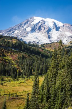 Mount rainier Güz