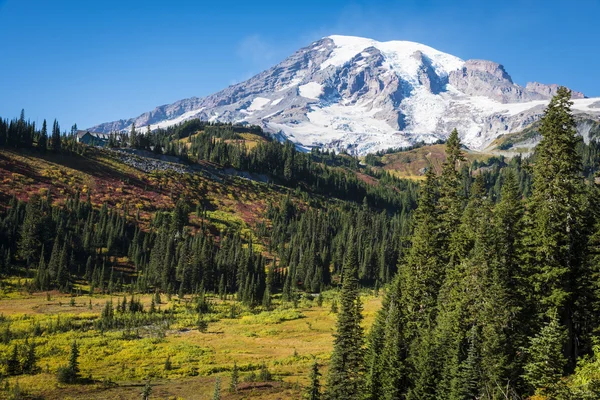 Mount Rainier om høsten – stockfoto