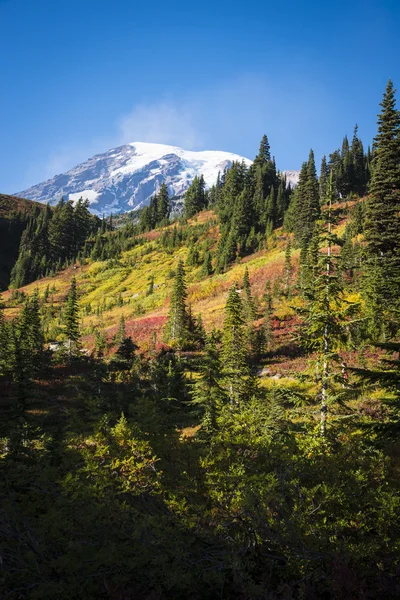 Mount rainier na podzim — Stock fotografie