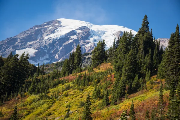 Monte Rainier no outono — Fotografia de Stock