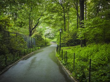 kaldırım new York'taki central Park'ta