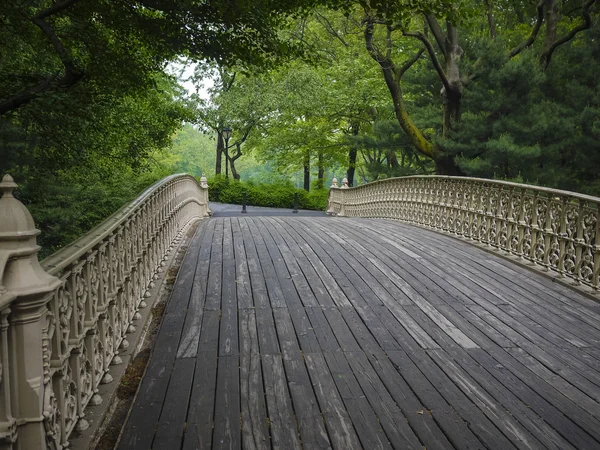 Puente en Central Park, Nueva York — Foto de Stock