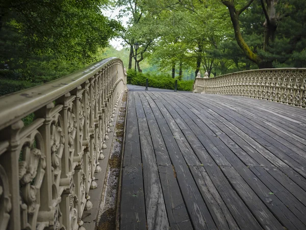 New York'taki Central Park'ta köprü — Stok fotoğraf