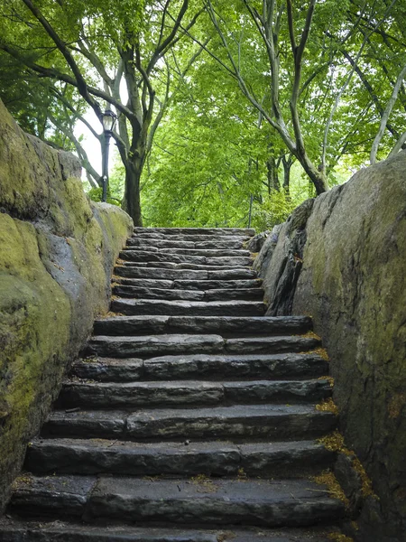 Kamenné schodiště, central park, new york city — Stock fotografie