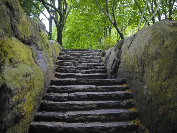 Stone stairway, Central Park, New York City — Stock Photo, Image