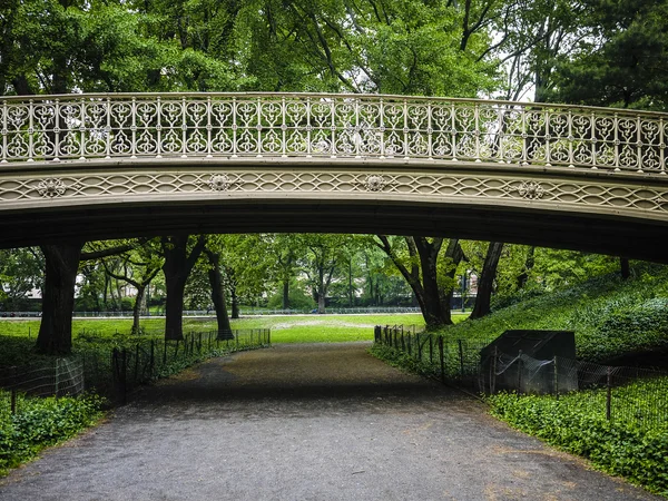 New York'taki Central Park'ta köprü — Stok fotoğraf