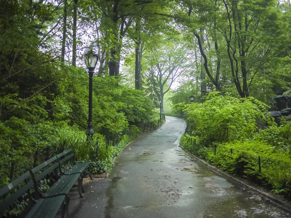 Sidewalk in Central Park, New York City — Stock Photo, Image