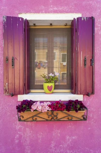 Dinding merah muda dan jendela di jendela, Burano, Italia — Stok Foto