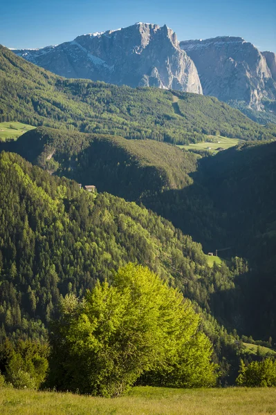 Gröna solbelysta ängar — Stockfoto