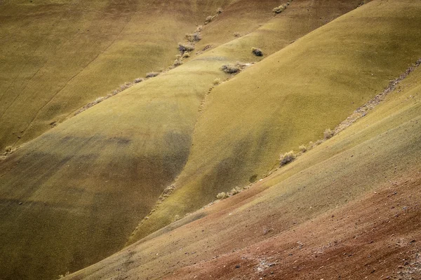 Öken former och färger, målade hills, oregon — Stockfoto