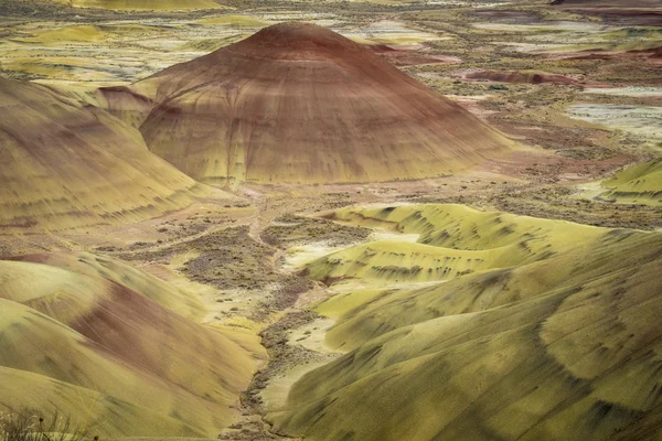 Forme și culori deșert, dealuri pictate, Oregon — Fotografie, imagine de stoc