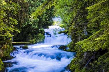 hızlı hareket eden dağ nehir Oregon