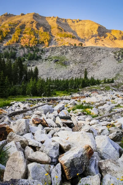 High alpine boulder field in Rocky Mountains — Stock Photo, Image