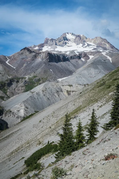 Скелясті схили Mt. Худ, штат Орегон — стокове фото