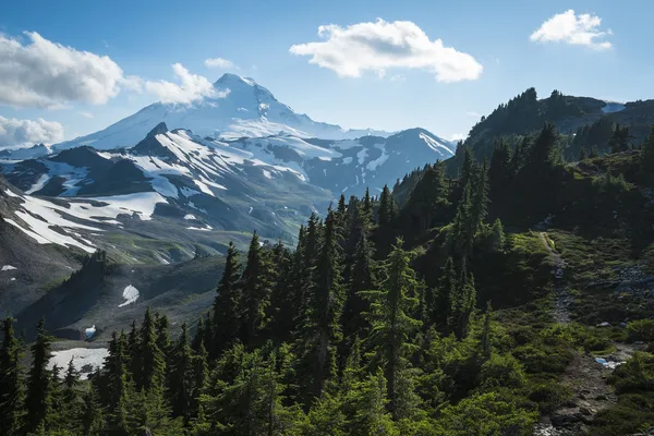 Snowcapped Mount Baker, Ptarmigan Ridge, Washington State Cascad — Foto de Stock