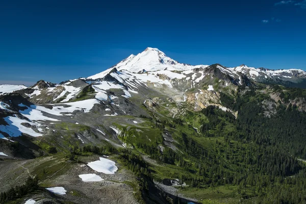 Snowcapped Mount Baker, Ptarmigan Ridge, Washington State Cascad — Foto de Stock