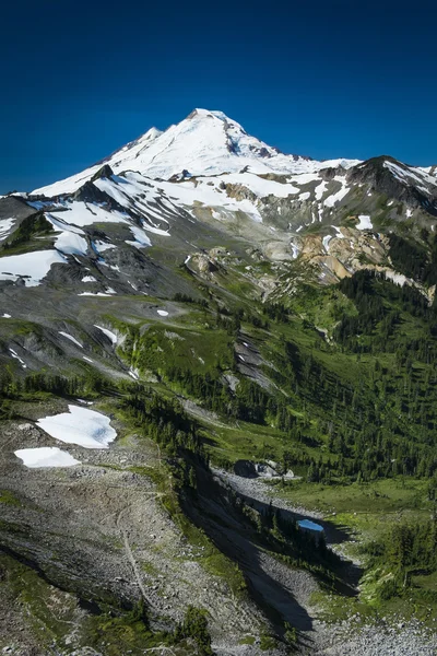 Zasněžené hory mount baker ptarmigan ridge, cascad státu washington — Stock fotografie