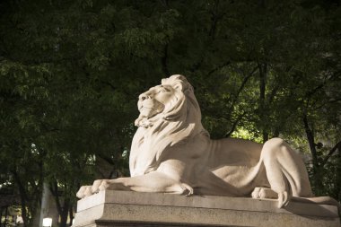 new york Şehir Kütüphanesi dışında mermer aslan