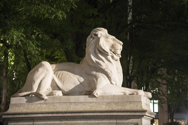 Marble lion outside New York City library — Stock Photo, Image