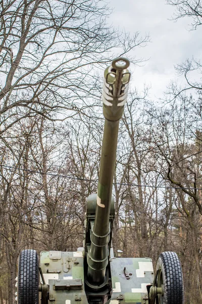Tanku Houfnici Stojí Ulici Ukrajině Kyjevském Parku Pistole Zelená Nádrž — Stock fotografie