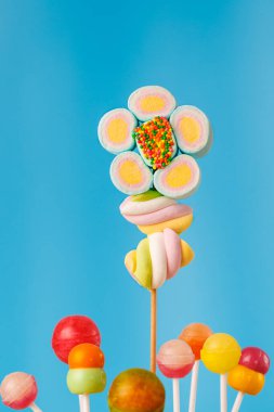Çubukta çok renkli şekerler, mavi arkaplan. Mavi arka planda çok renkli lolipoplar (Chyupa-Chyup 'lar)