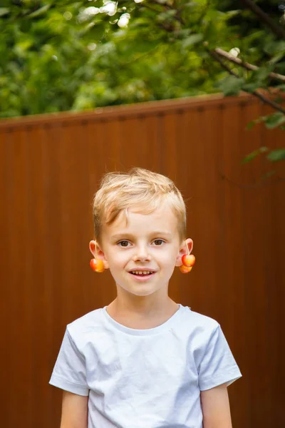 Altı yaşında bir çocuk yeşil çimlerin üzerinde duruyor ve kirazlarla oynuyor. Güneşli bir gün, yeşil çimenler. Sarışın çocuk kiraz ile şımarır. Çocuk kiraz ikram ediyor..