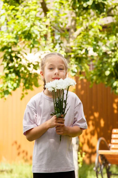 A six-year-old girl sniffs a bouquet of daisies in the garden. Sunny day, in the garden the boy gives a bouquet of daisies to the girl.
