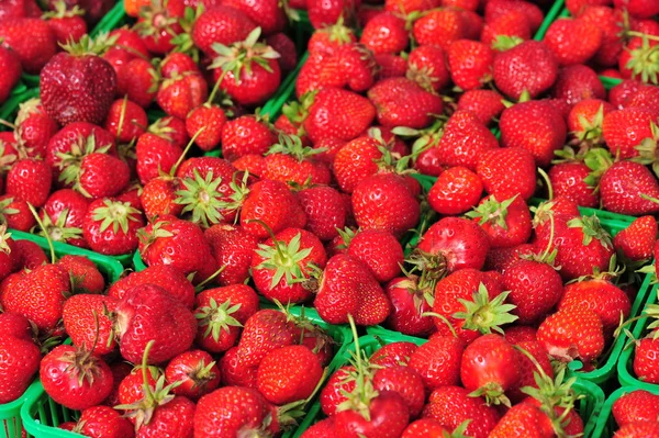 Festival of Strawberries — Stock Photo, Image