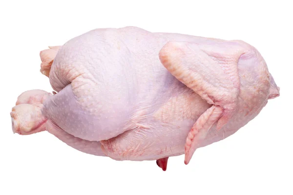 Rohe Frische Hühner Isoliert Auf Weißem Hintergrund — Stockfoto