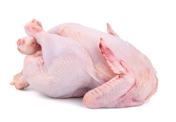 Rohe Frische Hühner Isoliert Auf Weißem Hintergrund — Stockfoto