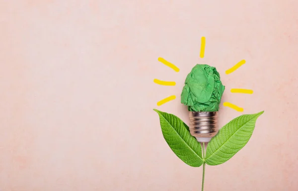Grön eko energi koncept glödlampa grönbok på blad med solljus — Stockfoto