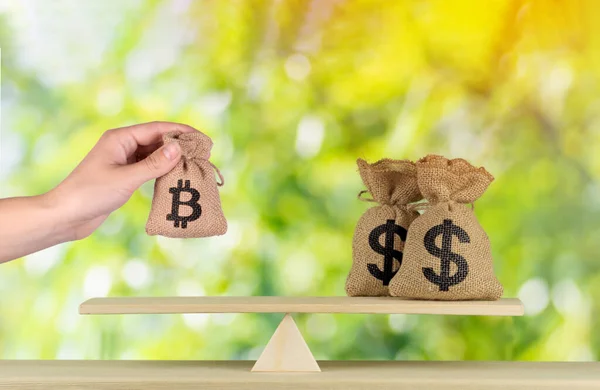 El çantası ve üzerinde dolar işareti olan iki çanta yeşil güneş ışığı arkaplan yatırımı dengesi olan teraziye konulacak. Gelecekteki konsept için yapılan yatırım veya bitcoin dolar ve euro arasındaki para birimi farkı