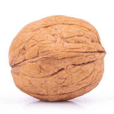 Beyaz arka planda izole edilmiş bir ceviz. kırpma yolu ile.